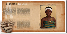 L'igname des akans